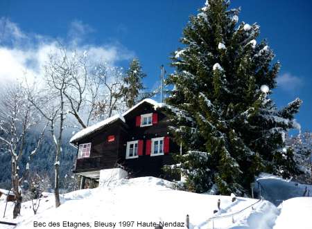 Haute-Nendaz, Chalet libre noël / nouvel an