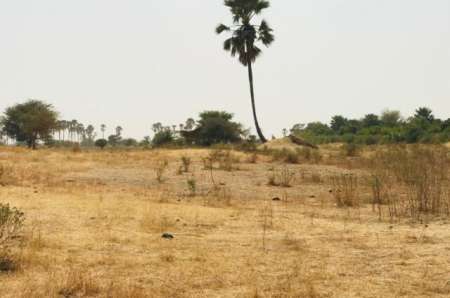  Terrain agricole de 8 m² à Samba Dia