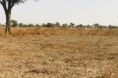 Terrain agricole de 8 à Touba Toul