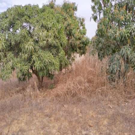 Terrain agricole de 2 m² à Notto Gouy Diama