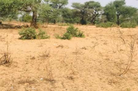 Terrain agricole de 13 m² à Touba Toul