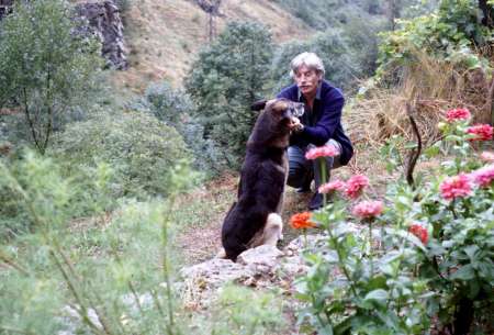 retraité 60 ans propose chambre en co location