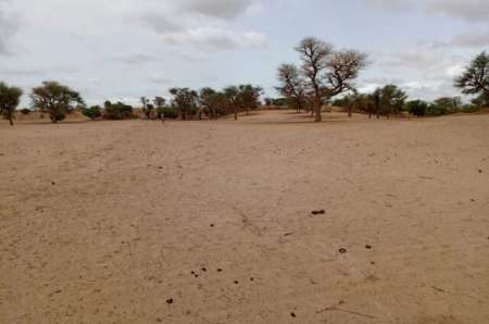 Terrain agricole de 3 ha vers keur Samba Kane