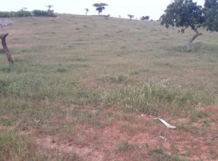 Terrain agricole de 2 ha vers Lompoul