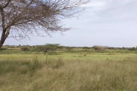 Terrain agricole de 2,50 ha vers Thieppe