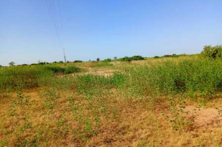 Terrain agricole de 8779 m² vers Notto Diobass