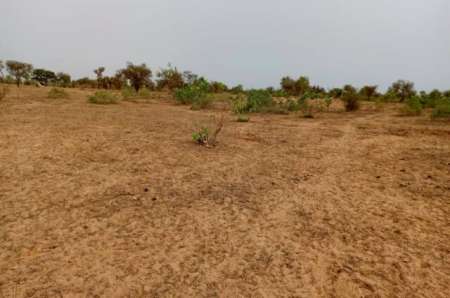 Terrain agricole 7500 m² vers Khombole