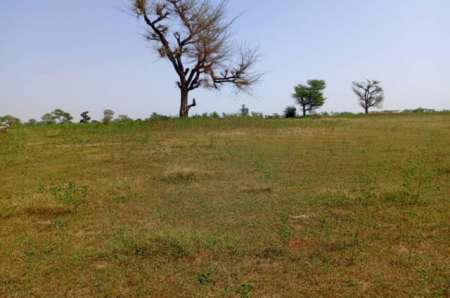 Terrain agricole de 2,07 ha vers Khombole