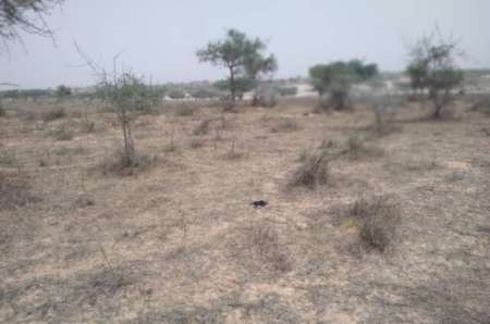 Terrain agricole de 9,22 ha vers Thieppe