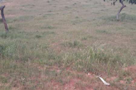 Terrain agricole de 8266 m² vers Lompoul