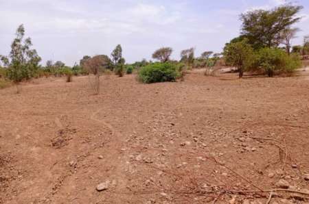 Terrain agricole de 6840 m² Notto Diobass