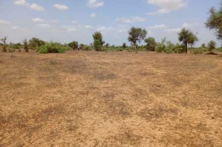 Terrain agricole de 6,61 ha vers Touba Toul