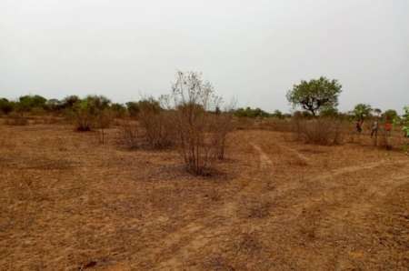 Terrain agricole de 1,01 ha vers Thiénaba