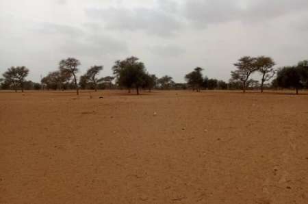 Terrain agricole de 7130 m² vers Touba Toul