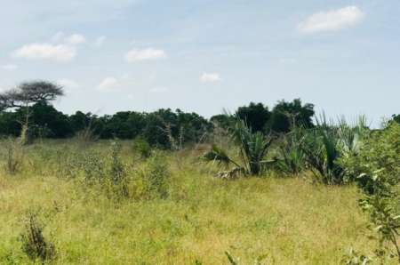 Terrain agricole de 1,57 ha vers Pire