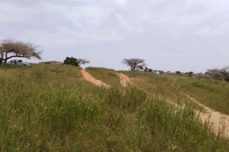 Terrain de 1,83 ha vers Diokoul Diawrigne