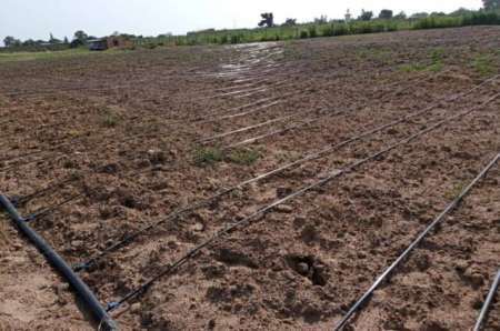 Verger agricole de 2,30 ha vers Malicounda