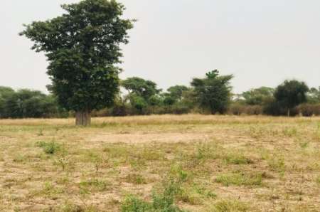 Terrain agricole de 1,26 ha vers Méouane
