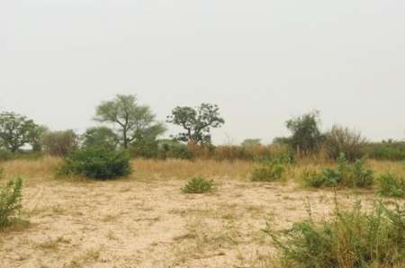 Terrain agricole de 1,87 ha vers Méouane