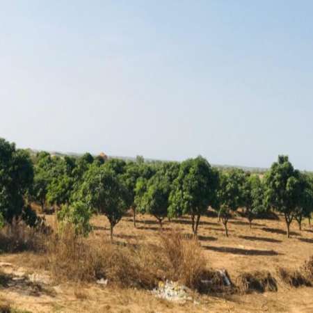 Ferme agricole de 7 hectares vers Diender