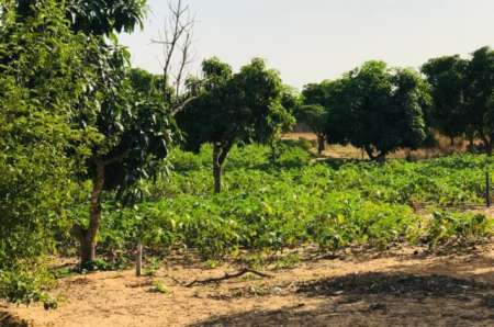 Ferme agricole de 3,70 ha vers Diender