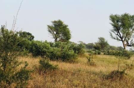 Terrain agricole de 8089 m² vers Tassette