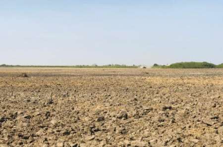 Terrain agricole de 10 ha vers Keur Moussa