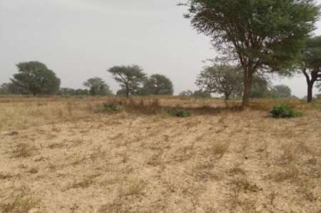 Terrain agricole de 2 ha vers Notto Diobass