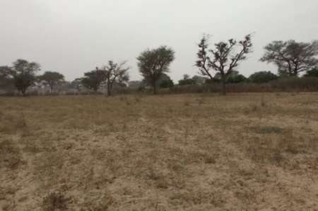 Terrain agricole de 2 hectares vers Notto Diobass