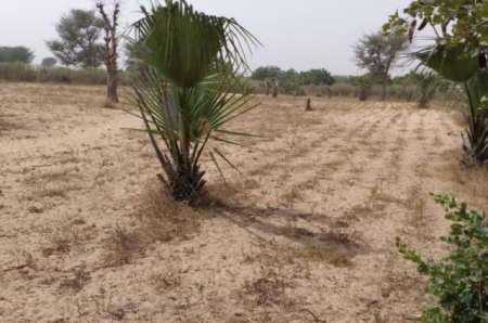 Terrain agricole de 9012 m² vers Notto Diobass