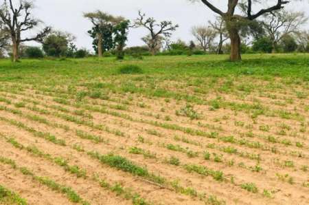 Terrain agricole de 1,79 ha vers Tassette