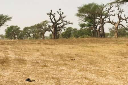 Terrain agricole de 2,47 ha vers Touba Toul