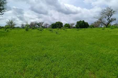 Terrain agricole 8579 m² vers Notto Diobass