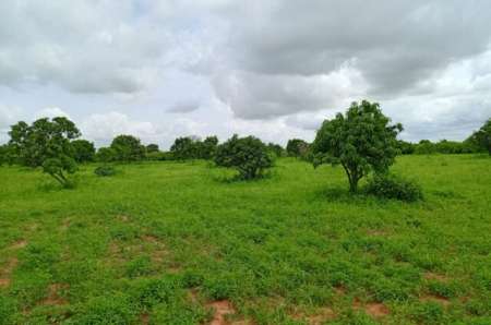 Terrain agricole de 1,33 ha vers Notto Diobass