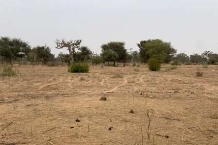 Terrain agricole de 1,37 ha vers Notto Diobass