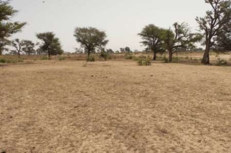 Terrain Agricole de 2,47 ha vers Sindia