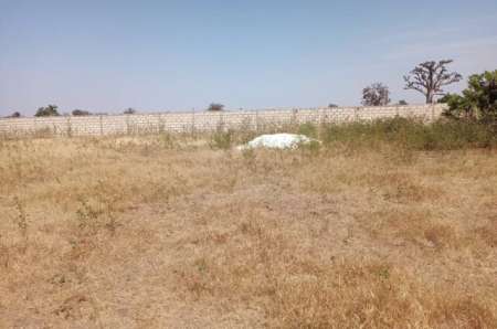 Verger agricole de 6 ha vers Sandiara