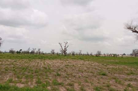 Terrain agricole de 2 ha vers Sandiara