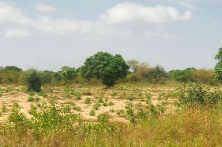 Terrain agricole 1,53 hectare vers Pire