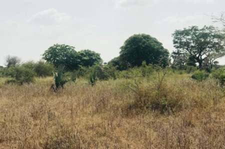 Terrain agricole de 1 ha vers Pire