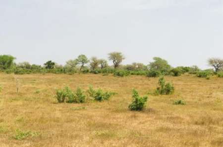 Terrain agricole de 1,28 ha vers Koul