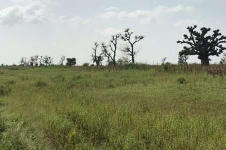 Terrain agricole de 20 ha vers Sésséne