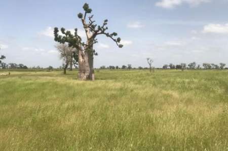 Terrain agricole de 9 ha vers Tassette