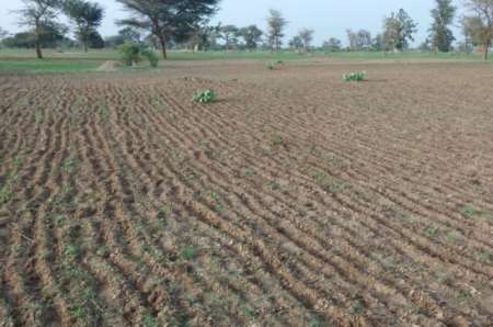 Terrain agricole de 1,68 hectare vers Sandiara