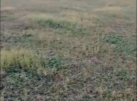 Terrain agricole de 1,44 hectare vers Tataguine