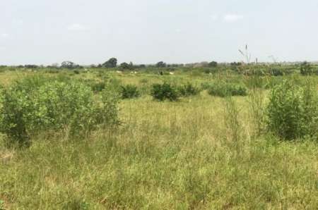 Terrain agricole de 7 ha vers Thiénaba