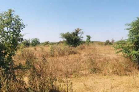 Terrain agricole de 1,11 ha vers Notto Diobass