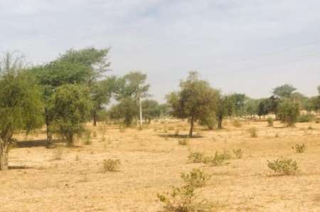 Terrain agricole de 3 ha vers Koul