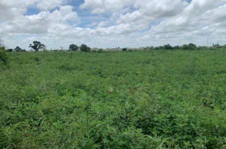 Terrain agricole de 1,25 ha vers Notto Diobass