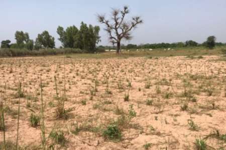 Terrain agricole de 6156 m² Séssène